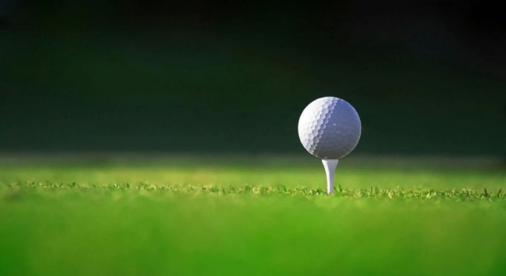 Berks high school golf roundup for Aug. 20
