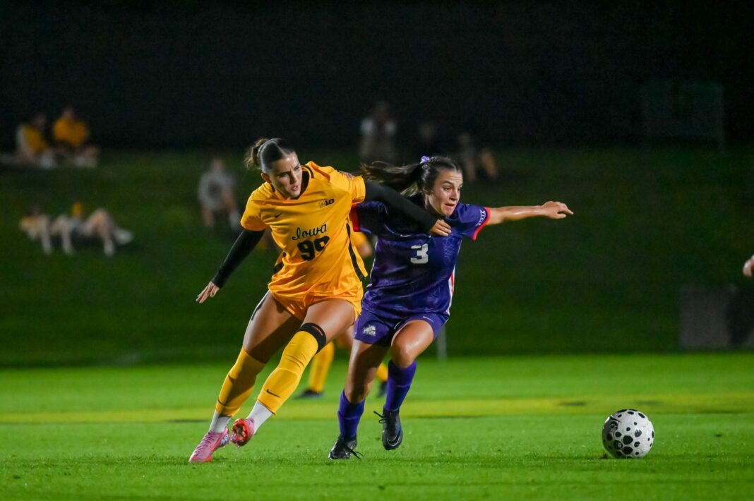 Lisa Cellucci enters her 12th year as head coach of the Hawkeyes. (Photo by Dennis Scheidt)