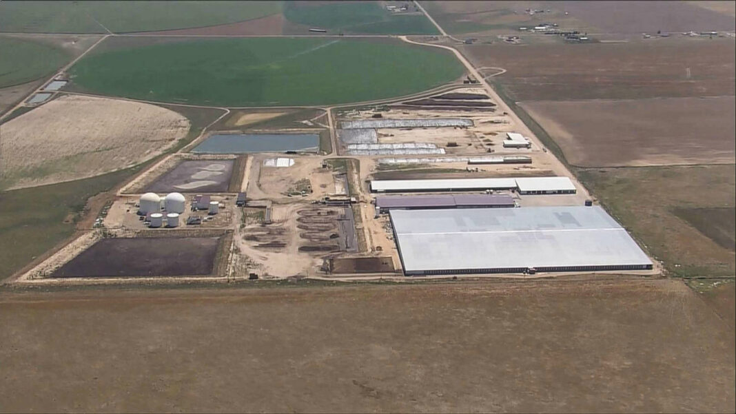Six dead in accident at Colorado dairy

