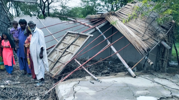Flooded streets and damaged houses in Sindh after two days of heavy rainfall, with residents stranded and livestock washed away.